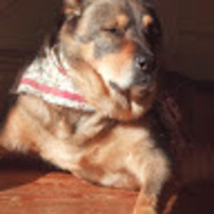 Meet your Posher, Sharon